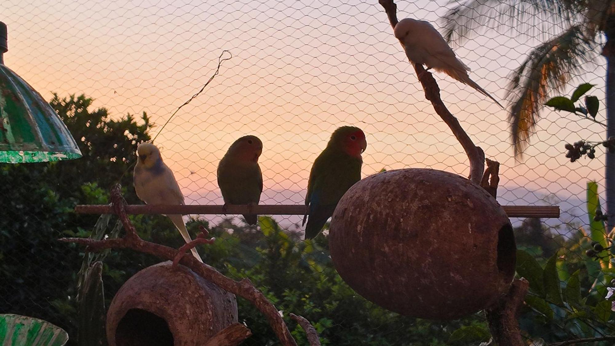 Campestre La Union En Mesitas